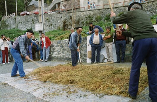 Battage au fléau sur la place du village - septembre 1990 Battage au fléau sur la place du village - septembre 1990